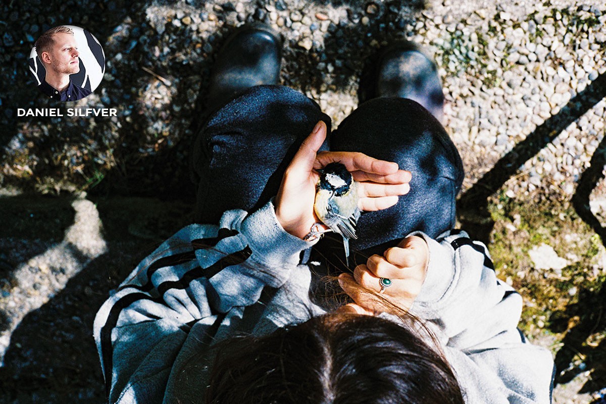 Daniel Silfver 0 1200x800 69171