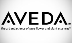 Top 10 Makeup Brand Logos Spellbrand