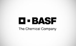 BASF Logo Design