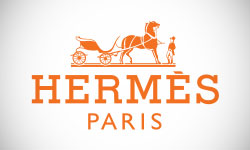 Hermes Logo Design
