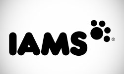 Iams Logo Design