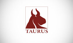 Taurus Investment Holdings Realtor Logo Design