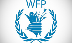 The World Food Programme Logo Design