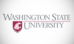 Washington State University Logo Design