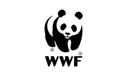 WWF Logo Design