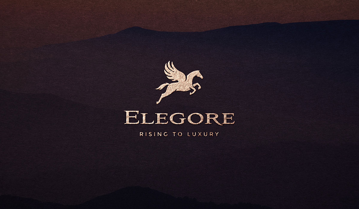 Elegore Visual Identity