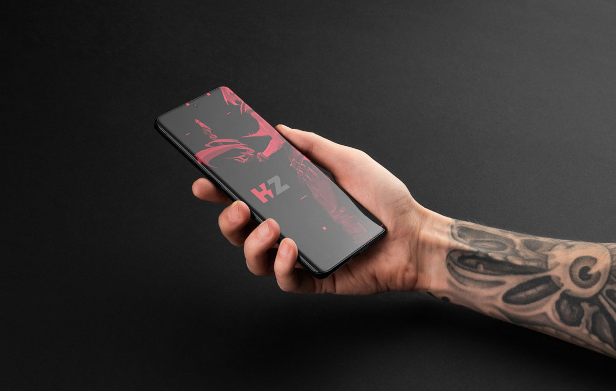 HitZone logo design applications