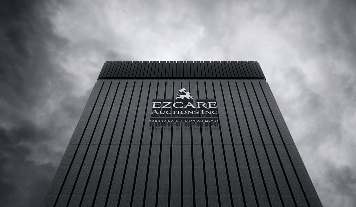 EZCare Auctions brand identity system