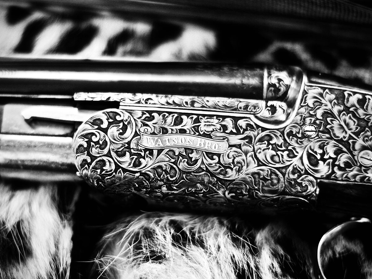 Watson Bros. visual identity system