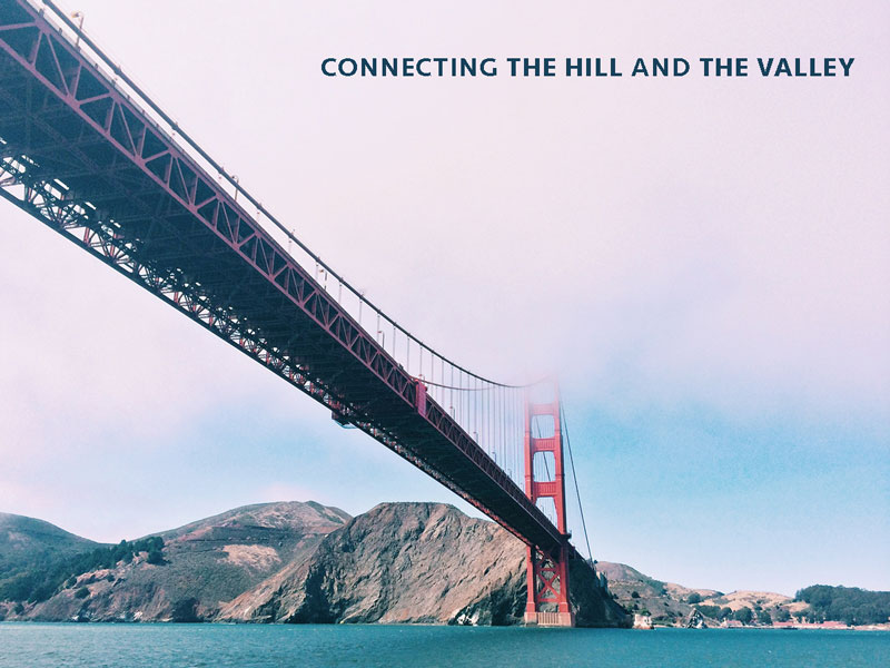 Sinewave Ventures brand identity system