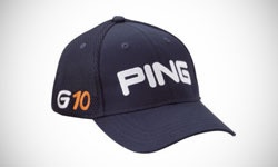 PING Logo Design