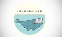 Squared Eye Animal Imagae Identities