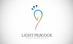 best photography logos