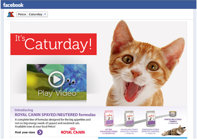 Caturday Facebook Promo