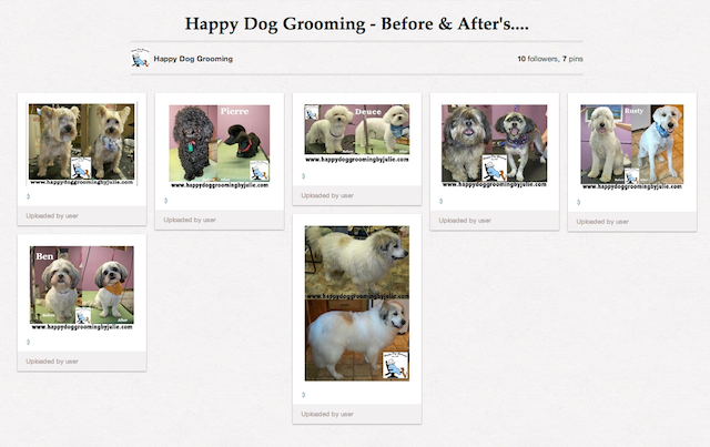 Pinterest DogGrooming Service