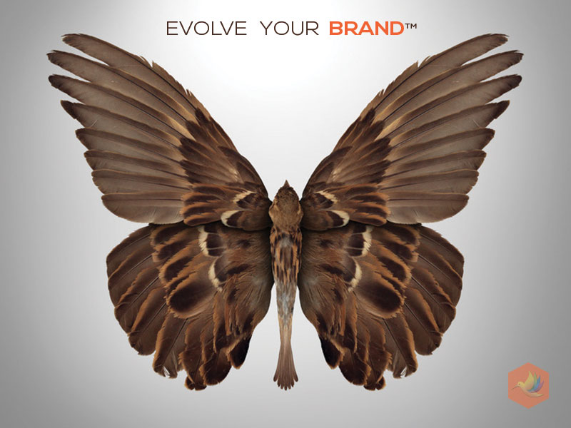 Evolve your brand through rebranding!