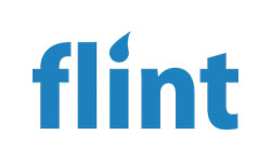 Flint payments startup logo design