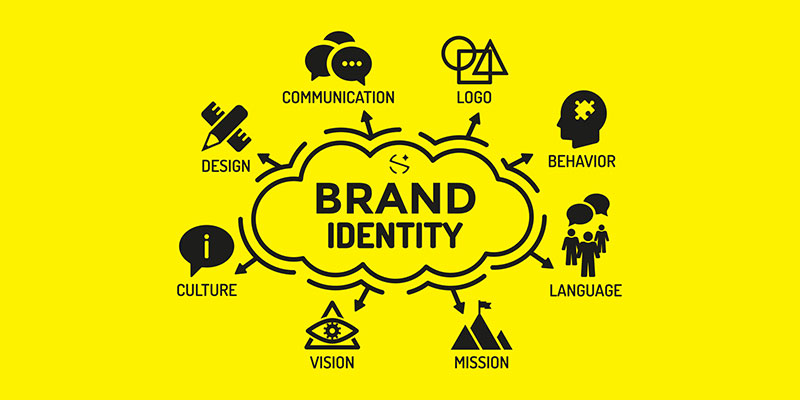 the brand identity