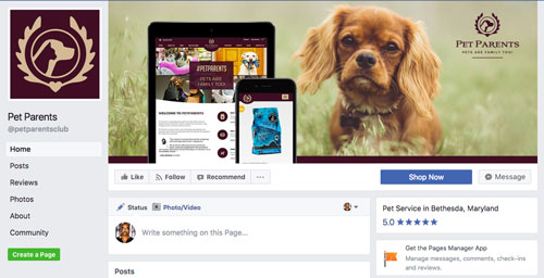 facebook cover image design and branding