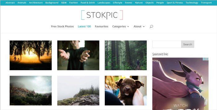 41. Stockpic