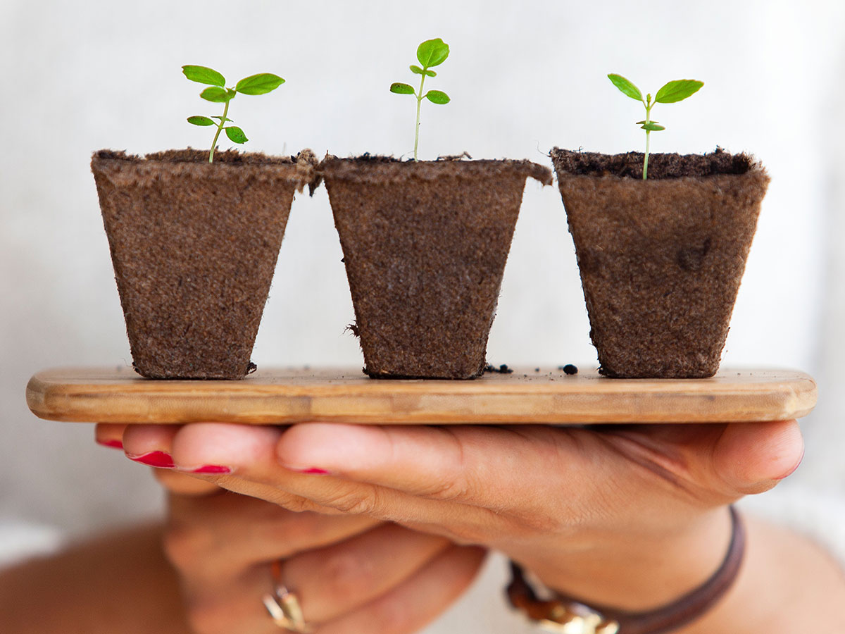 How To Use The GROW Model To Grow Your Brand