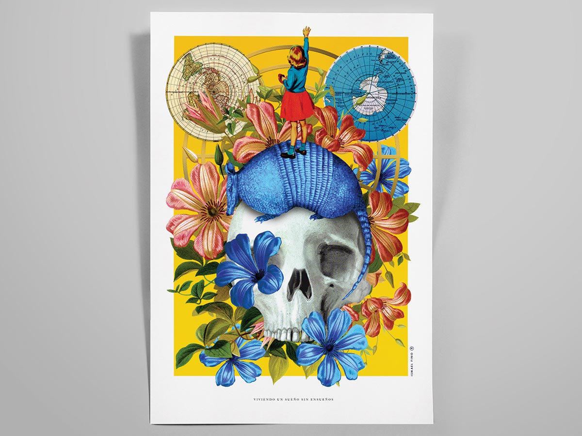 Poster Design showing skull, armadillo, flowers, maps and more