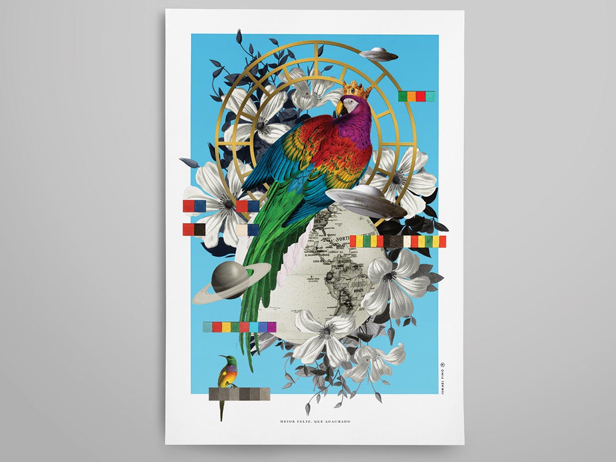 Poster Design showing a parakeet, lillys, globe and more