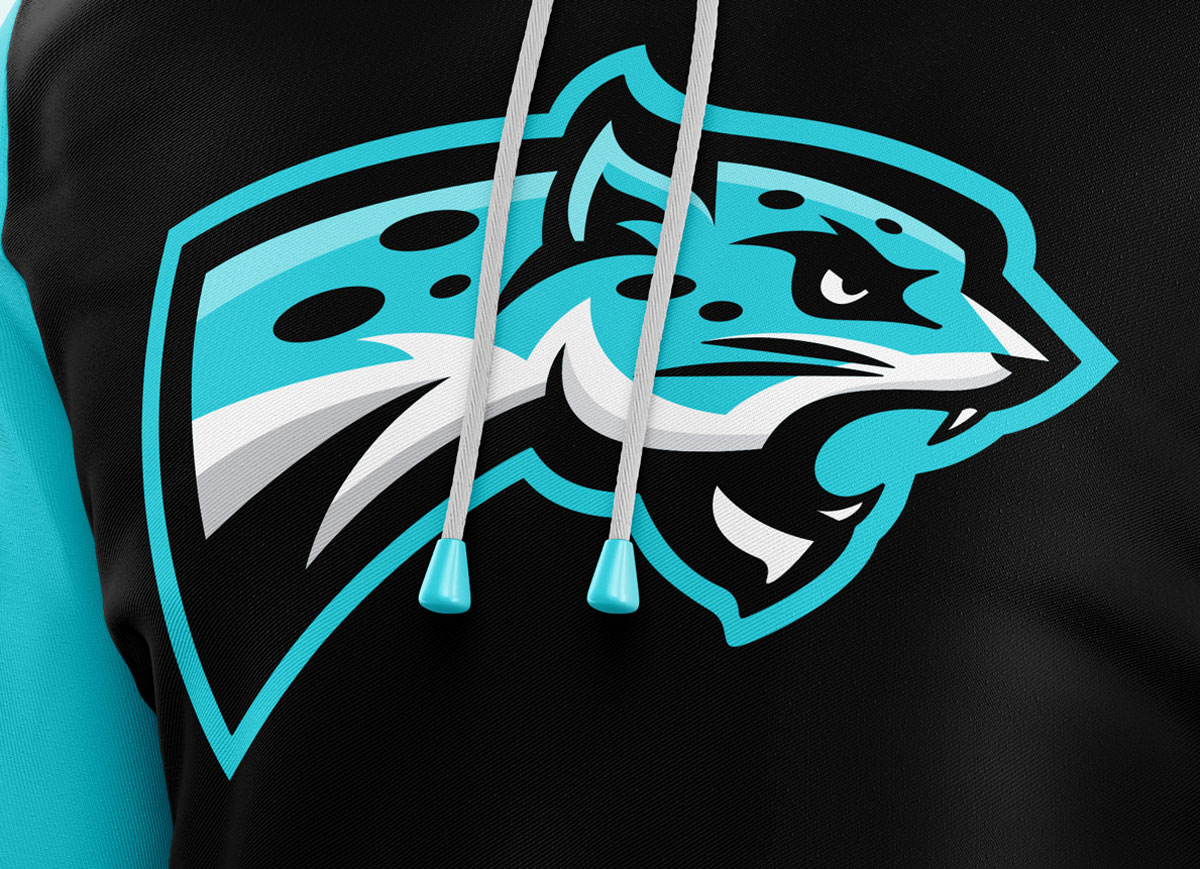 jaguars school sports mascot