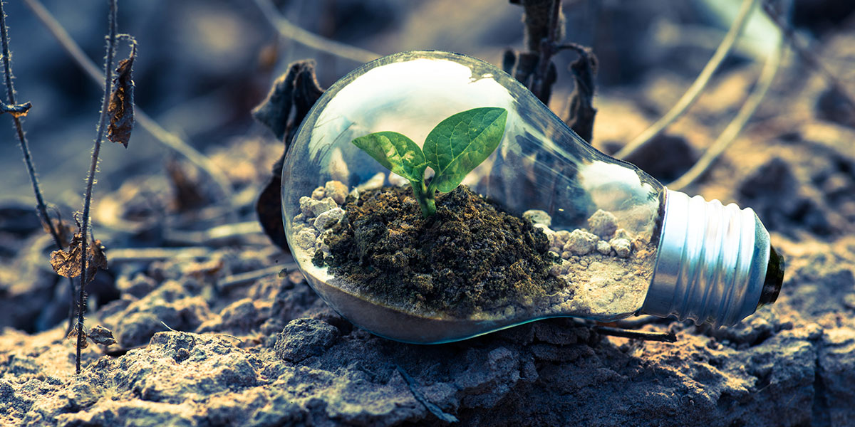 what is growth hacking? a light bulb with soil and a small plant with leaves