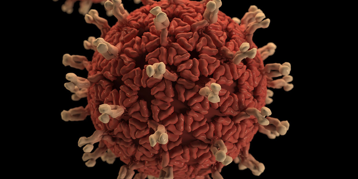VIRUS SCARE AND STOCK DIPS