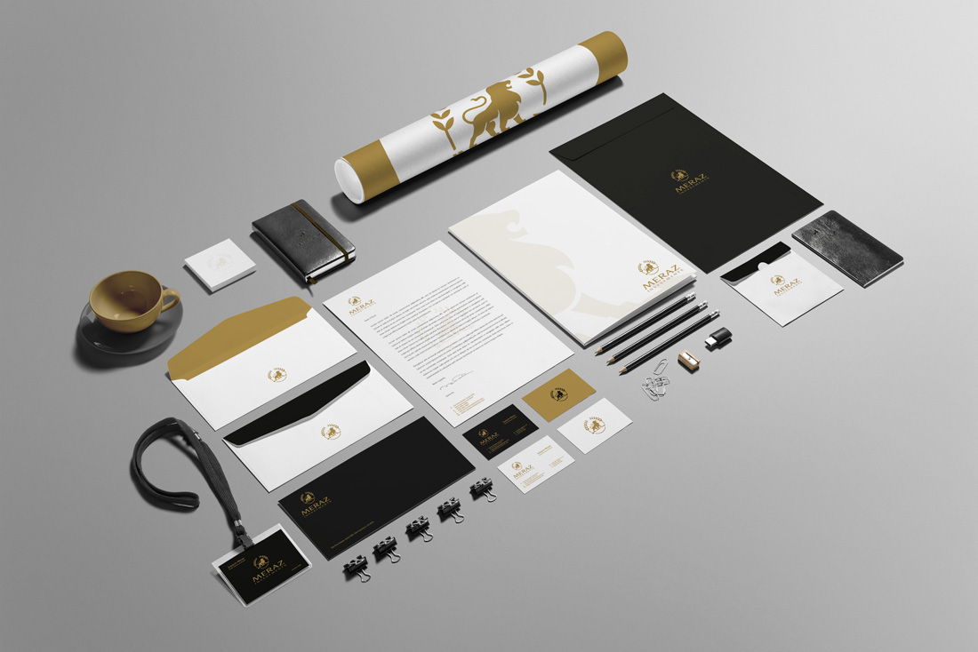 meraz investments brand identity