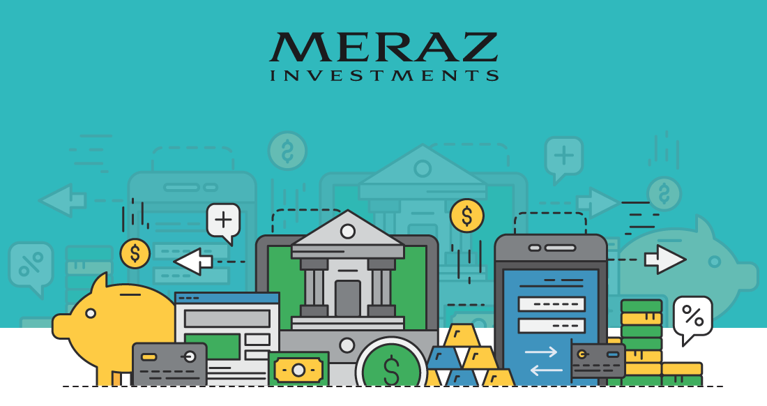 meraz investments brand identity