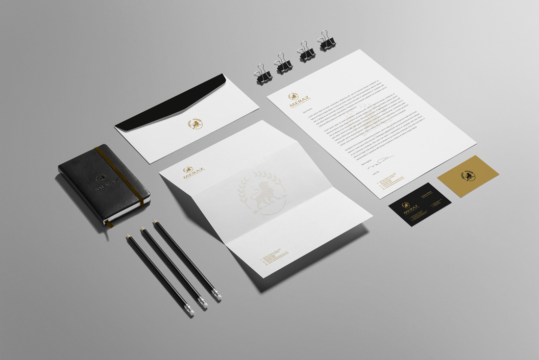 meraz investments brand identity