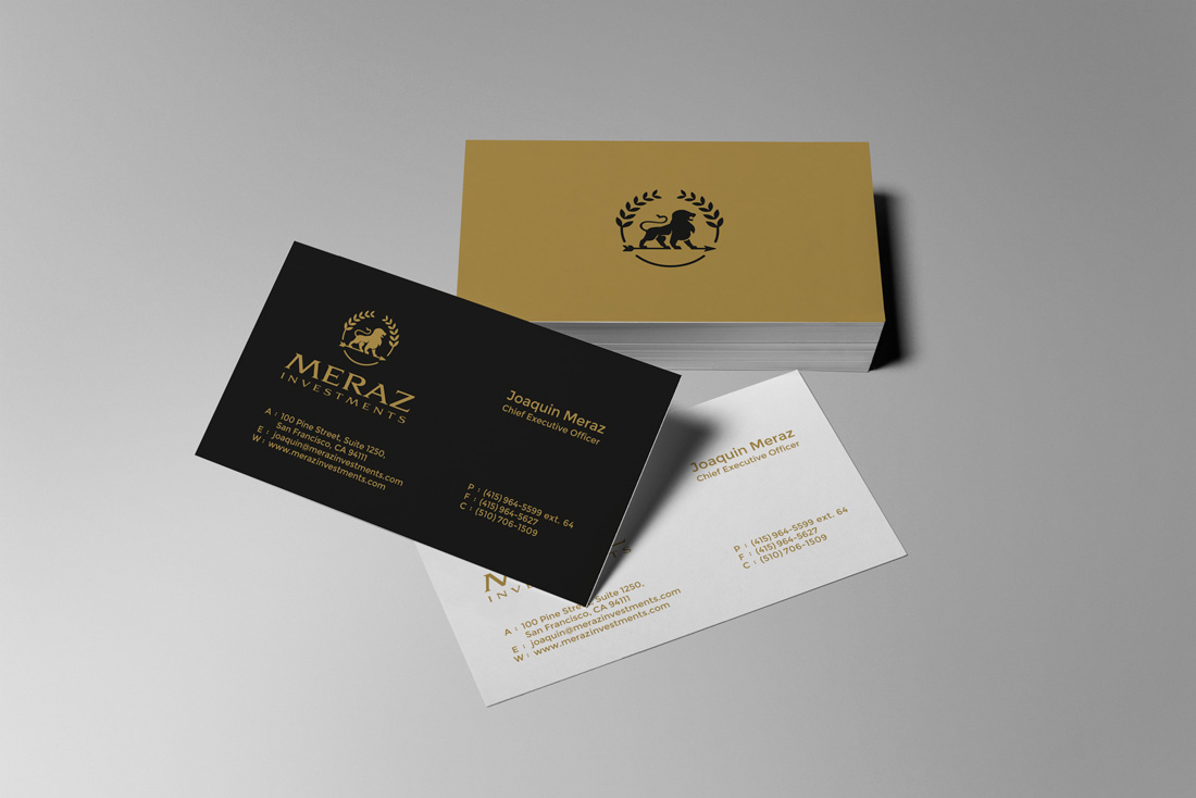 meraz investments brand identity