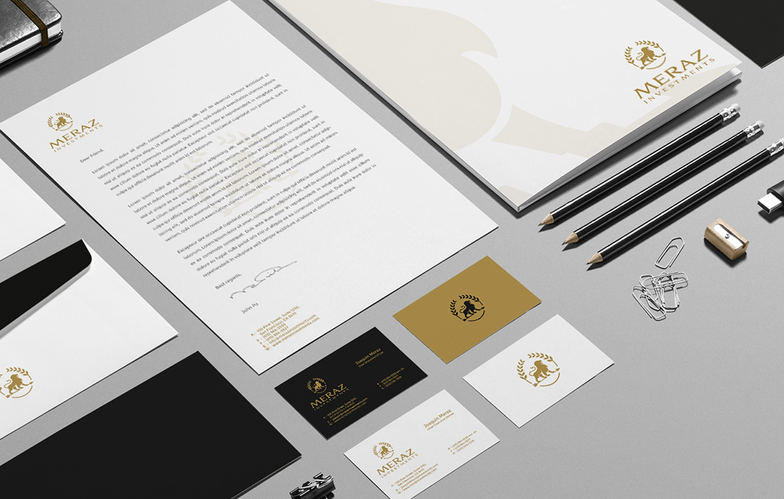 meraz investments brand identity