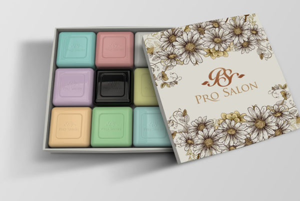 Pro Salon Studios Branding