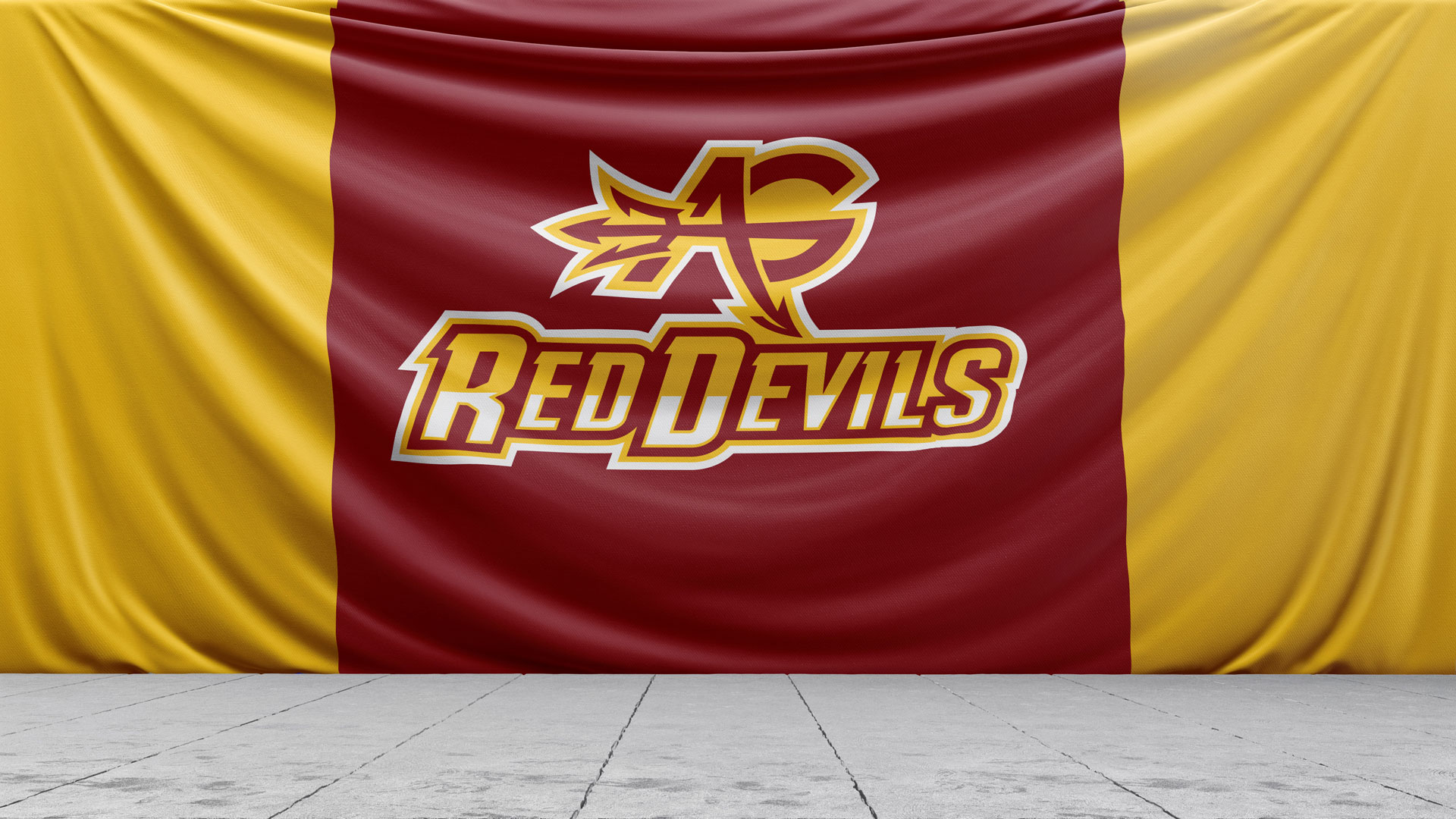 school district logo flag banner