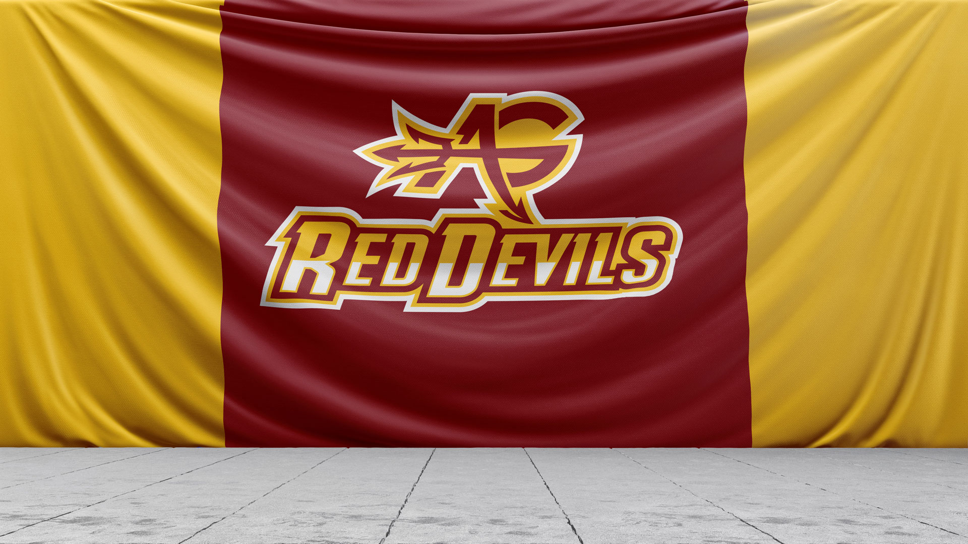 school district logo flag banner