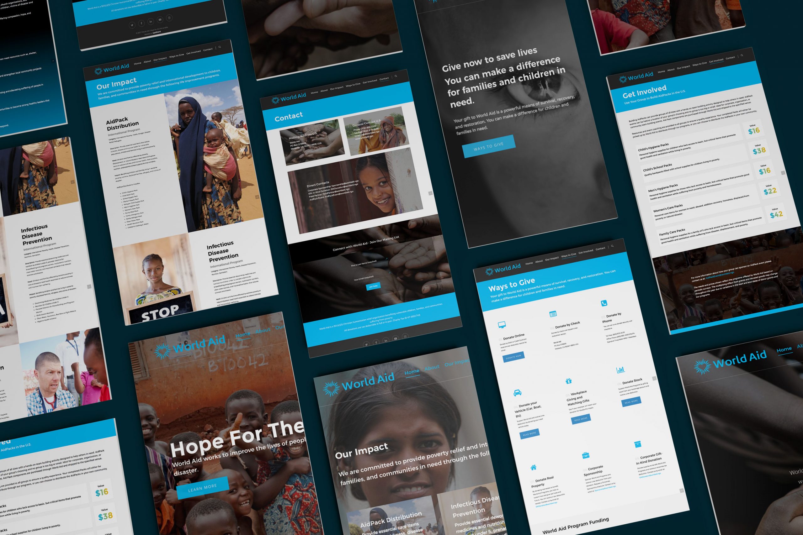 world aid website design