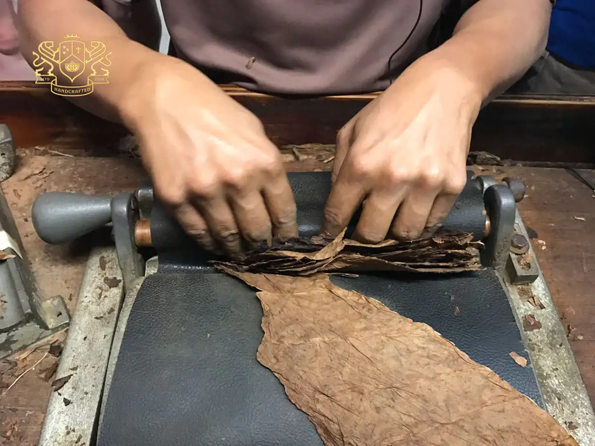 cigar manufacturing